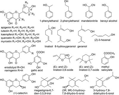 Genome-wide identification of UDP-glycosyltransferases in the tea plant (Camellia sinensis) and their biochemical and physiological functions